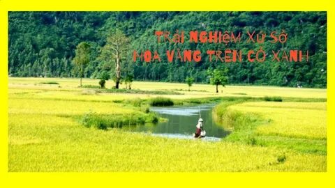 Hotspot Matrix và cơ hội trong lĩnh vực dược_Video kênh ưu tiên tối ưu