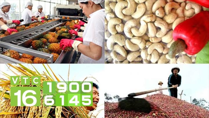 Hotspot Matrix: Biến Check-in Vlasta Summer Fest - thành cơ hội marketing đột phá