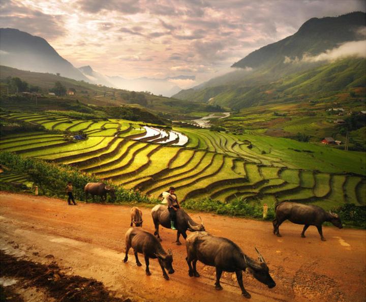 Hotspot Matrix: Động lực hay Áp lực cho Nhà Sáng Tạo Nội Dung?